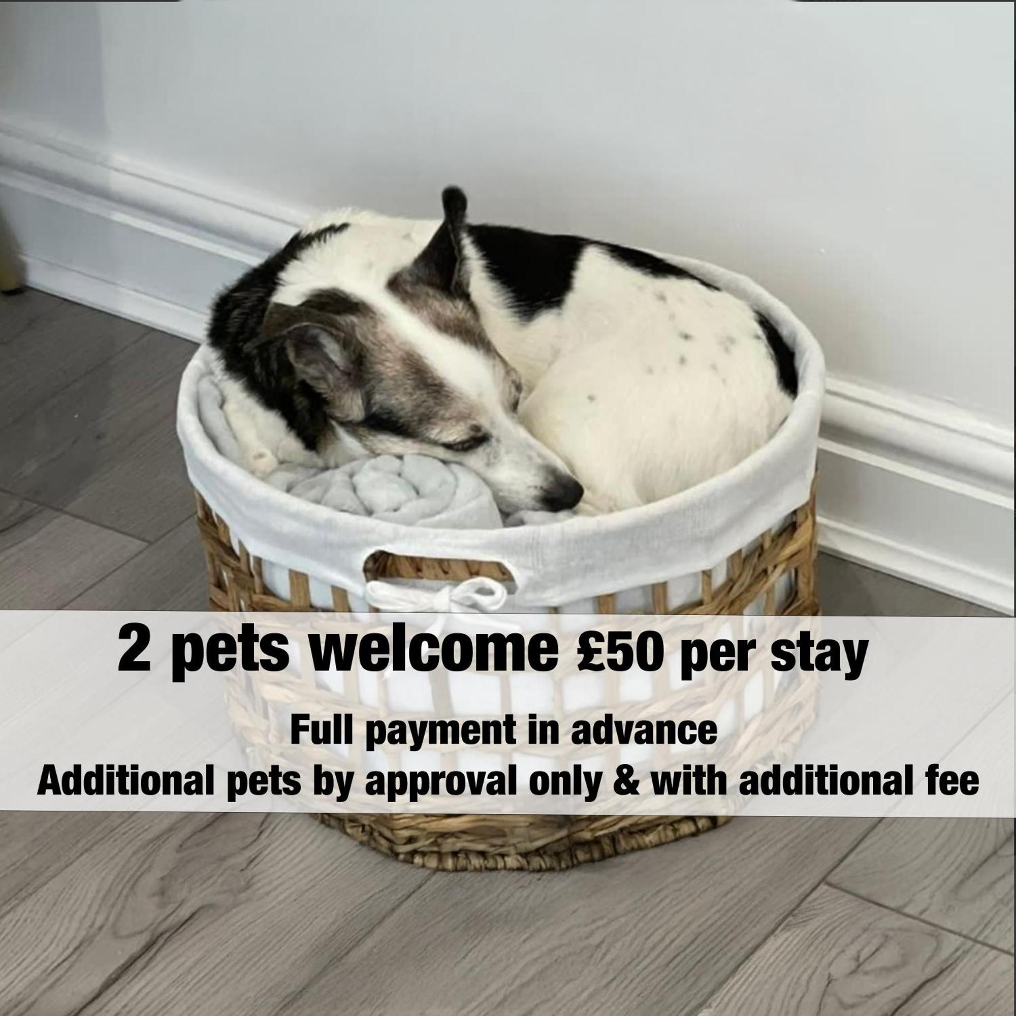 Emerald Delightful Suite Moseley Mews, Birmingham By Staystaycations Экстерьер фото